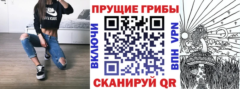 где можно купить наркотик  Грязовец  Галлюциногенные грибы Psilocybine cubensis 
